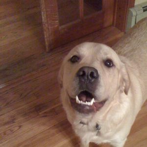 Meet your Posher, Diane